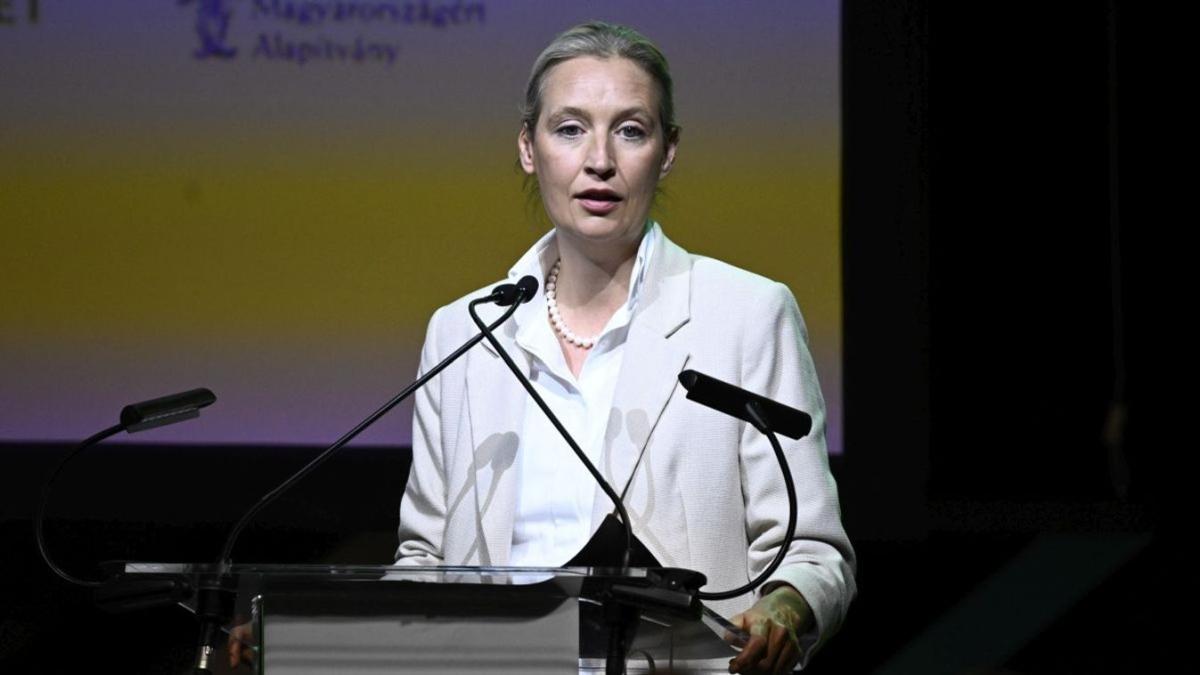 Alice Weidel AFD