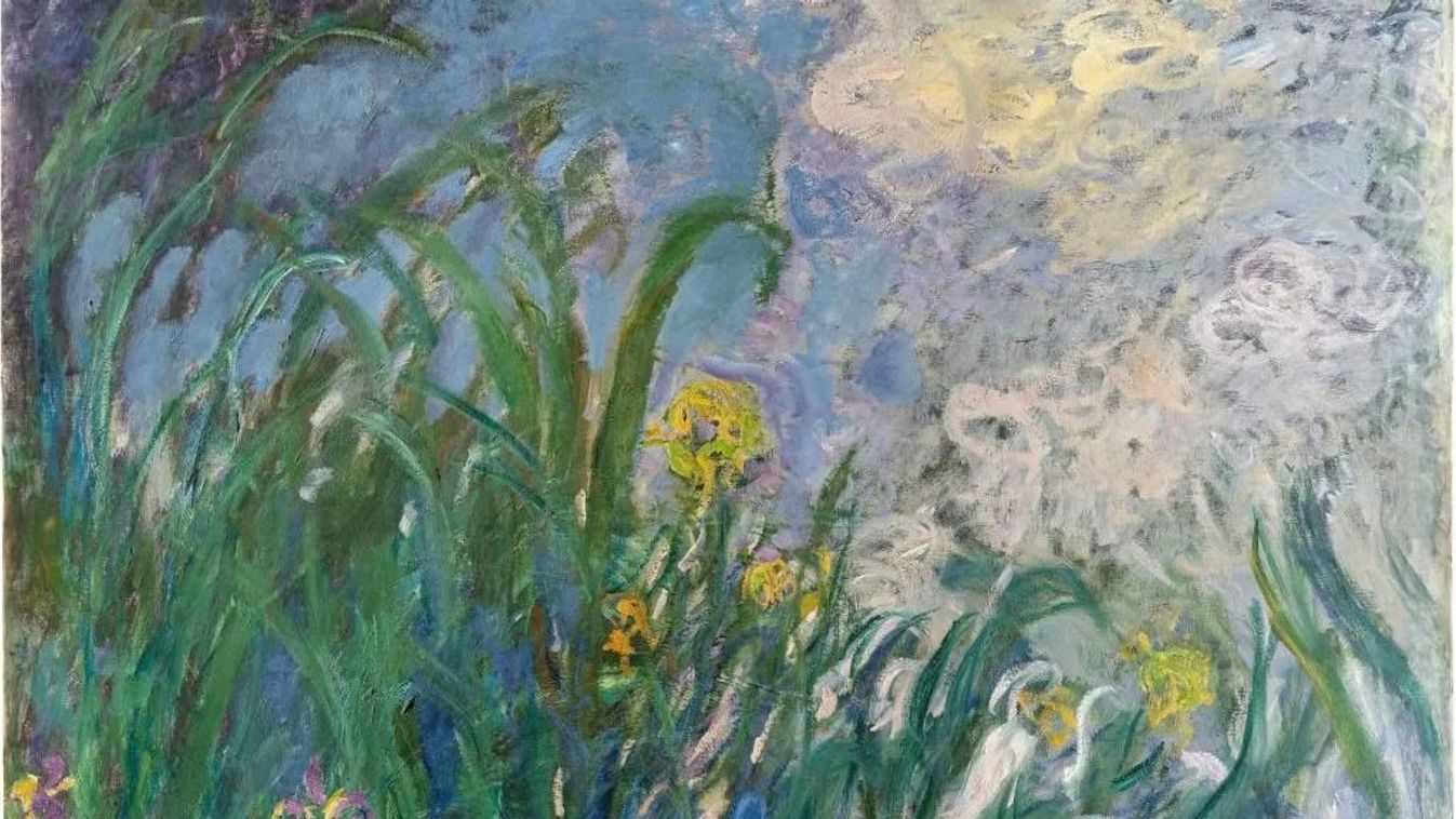 Monet Iris Monet