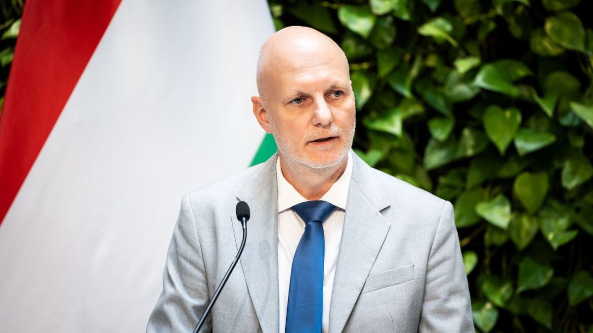 Tanács Zoltán